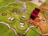 a purple, wooden shepherd token and some round cardboard sheep tiles on to of Carcassonne tiles