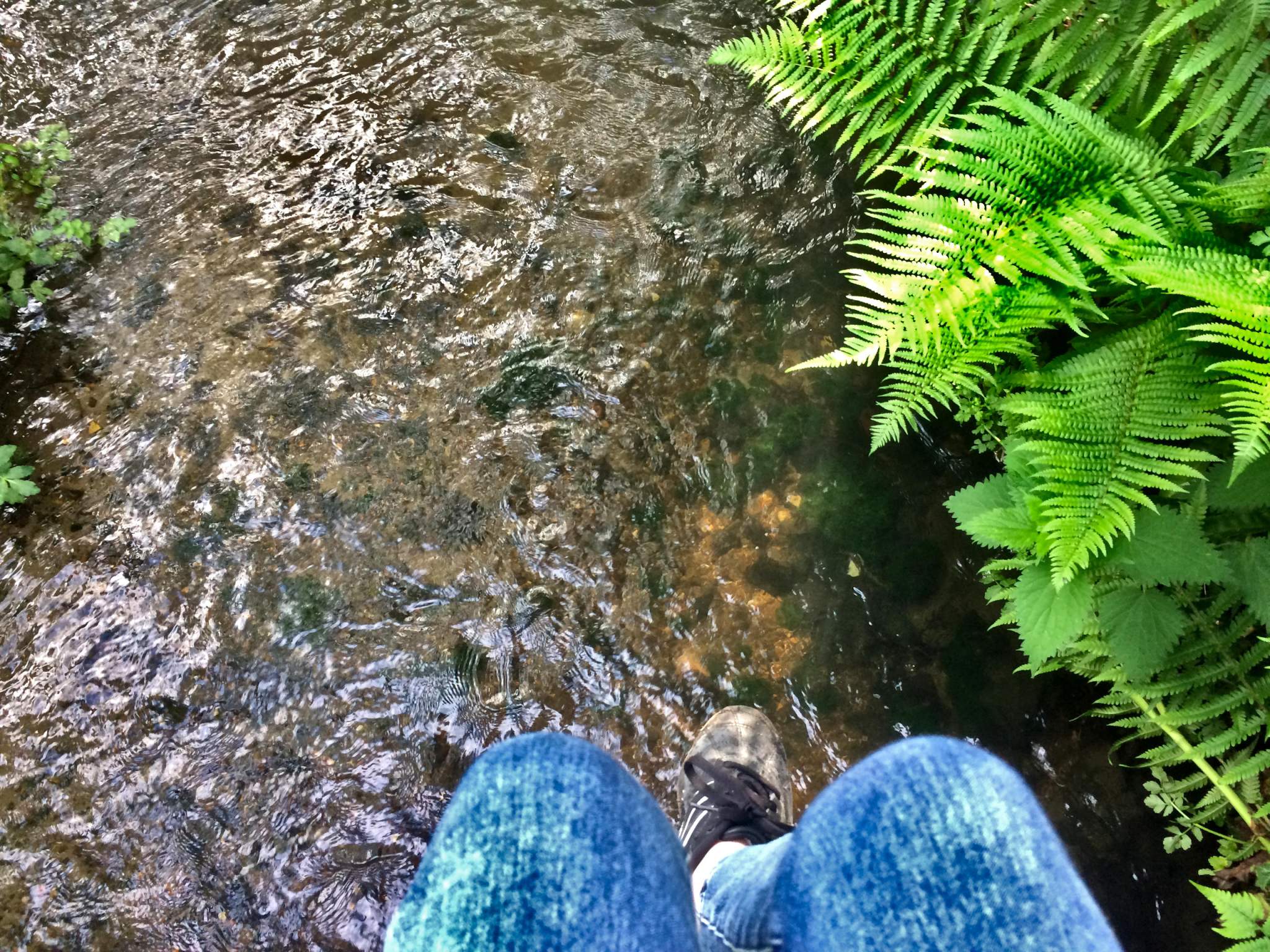 Hitting the mainstream