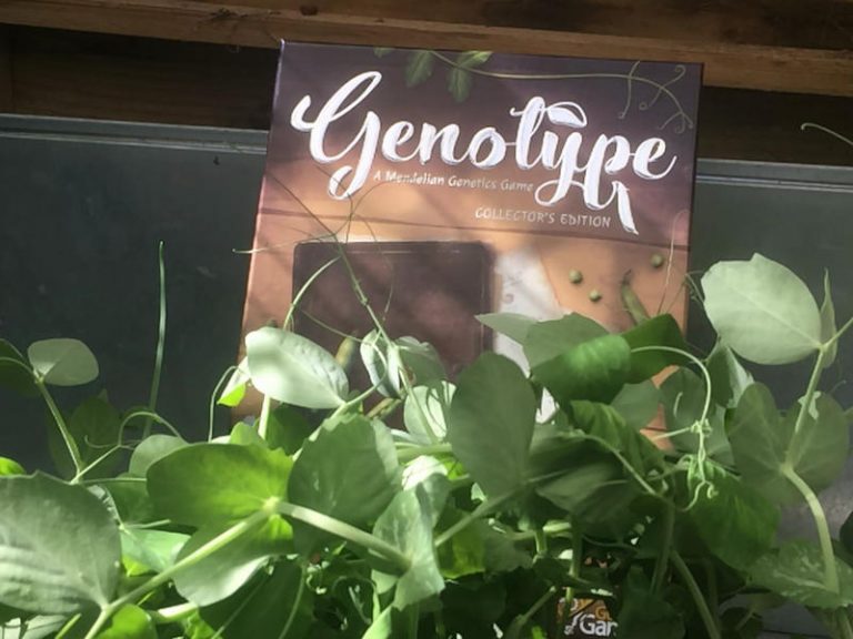 Genotype: A Mendelian Genetics Game (Saturday Review)