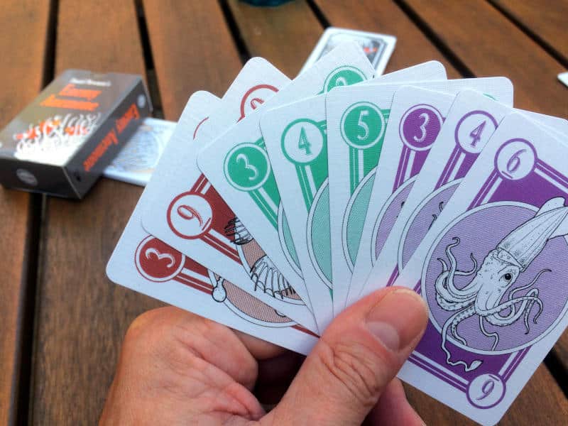 a hand of cards in Enemy Anemone