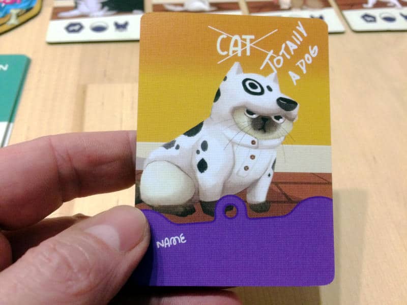 the card for the cat that is "totally a dog"