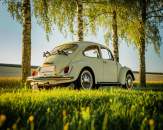 a white VW Beetle parked in a grassy field next to trees