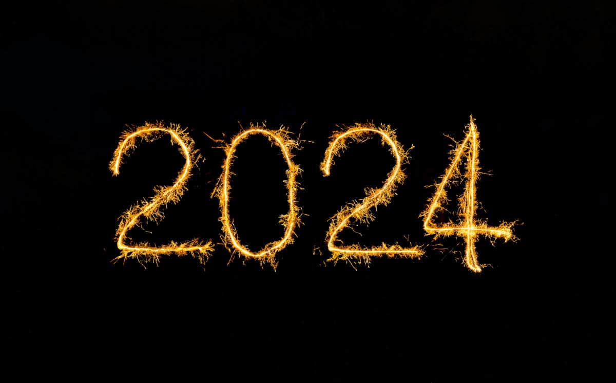 2024 – A Year in Review (and a look ahead…) (Saturday Review)