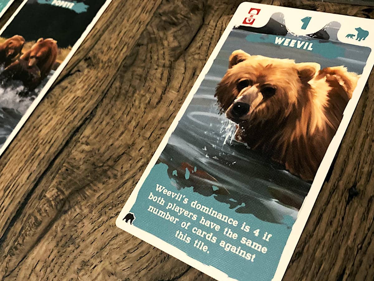 Katmai: The Bears of Brooks River (Saturday Review)