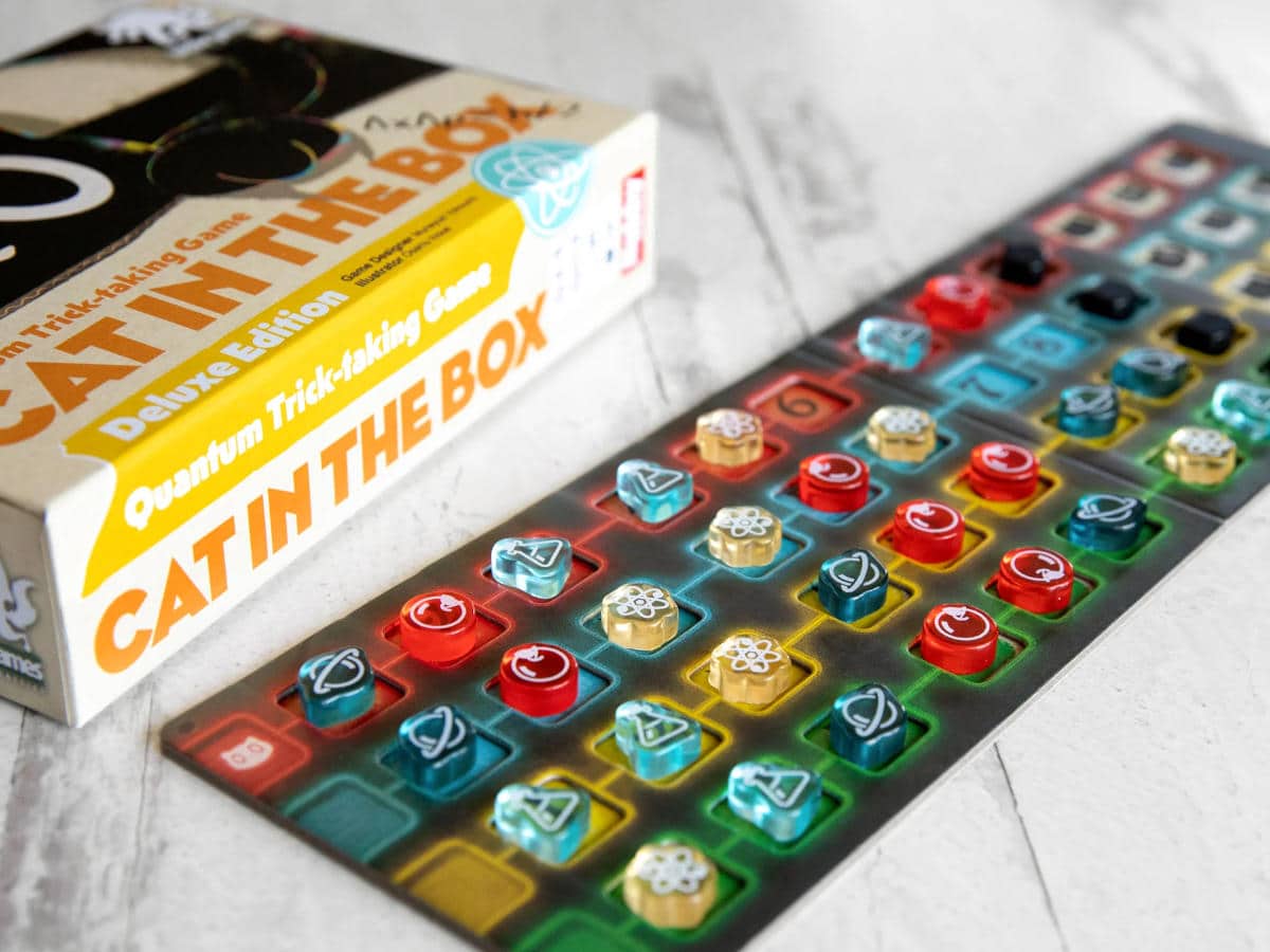 Cat in the Box (Digital Eyes)